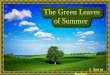 The Green Leaves of Summer - widescreen
