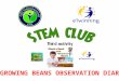 Stem club planting beans activity