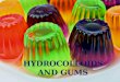 Hydrocolloids and gums