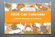 2016 cat calendar