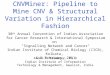 CNVMiner: Pipeline to Mine CNV & Structural Variation in Hierarchical Fashion