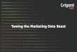 Taming the Marketing Data Beast | Origami Logic Marketing Graph Webinar