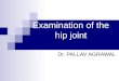 examination of the hip joint