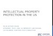 IP Protection in the USA