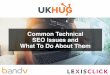 #UKHUG 2016: Common Technical SEO Issues - LexisClick and bandv