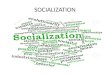 Socialization in learning process