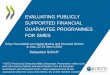 Evaluating publicly supported financial guarantee programmes for SMEs