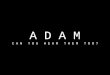 Adam Pitch A2 Media Studies