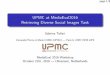 MediaEval 2016 - UPMC at MediaEval2016 Retrieving Diverse Social Images Task