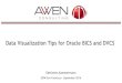 Data Visualization Tips for Oracle BICS and DVCS