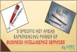 How will Business Intelligence Services Precisely Assist Key Business Areas