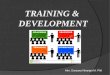 Training &  development