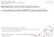 Network and risk spillovers: a multivariate GARCH perspective