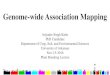 Genome wide association mapping