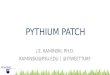 Pythium Patch Outbreaks