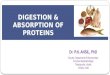 Digestion & absorption of proteins