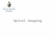 RAH Med 4 Ortho - Spinal Imaging