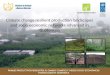 Climate Change Resilient Production Landscapes and Socio-Economic Networks Advanced in Guatemala