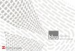 BluuGulf Dubai - Elysium Global - Presentation