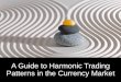 A Guide To Harmonic Trading Patterns In The Currency Market
