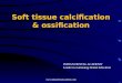 Soft tissue calcifications and ossifications / oral surgery courses