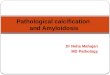 Amyloidosis and pathological calcification