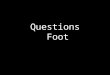 Questions: The Foot