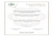 MSc degree certificate