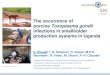 The occurrence of porcine Toxoplasma gondii infections in smallholder production systems in Uganda