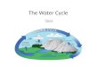 The water cycle quiz