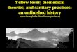 Yellow fever, Biomedical Theories, And Sanitary Practices