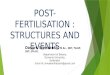Post fertilization structures in plants