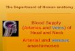 Anatomy 5-Blood-supply-of-head-neck