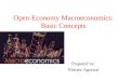 Basics of Open Market Economics