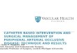 Catheter Based Intervention and Surgical Management of Peripheral Arterial Occlusive Disease:  Technique and Results
