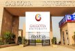 About Galgotia University | Education and Placements