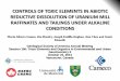CONTROLS OF TOXIC ELEMENTS IN ABIOTIC REDUCTIVE DISSOLUTION OF URANIUM MILL RAFFINATES AND TAILINGS UNDER ALKALINE CONDITIONS