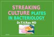 Streaking culture plates in bacteriology