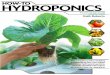 Hydroponics for agriculture