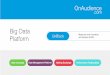 OnAudience_Big Data Platform