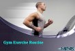 Gym Exercise Routine