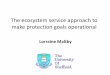 The ecosystem service approach to make protection goals operational