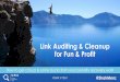 Link Auditing and Cleanup for Fun and Profit By Sha Menz