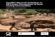 Conflict Minerals' initiatives in DR Congo: Perceptions of local 