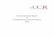 Annual Research Report & Undergraduate Research Report 2015
