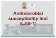 Antimicrobial susceptibility test (LAB-1)
