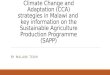 Climate change and adaptation (cca) strategies malawi