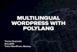Multilingual WordPress With Polylang