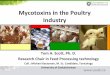 mycotoxin in the poultry industry