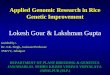 Applied genomic research in rice genetic improvement (2)
